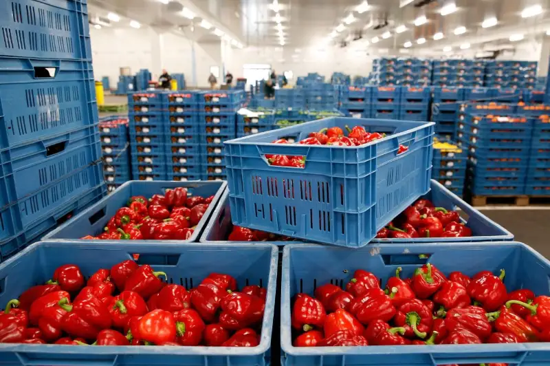 Около шести тысяч тонн продукции заложат в стабфонд ВКО