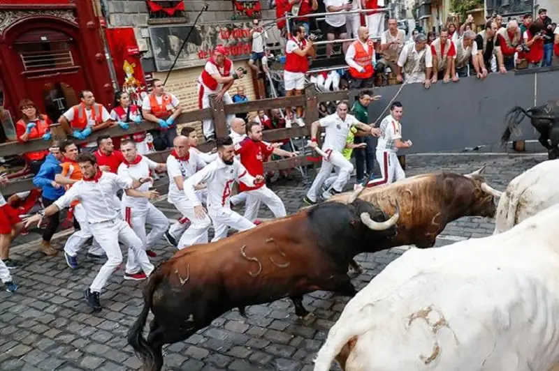 Пять человек пострадали во время забега быков в Испании