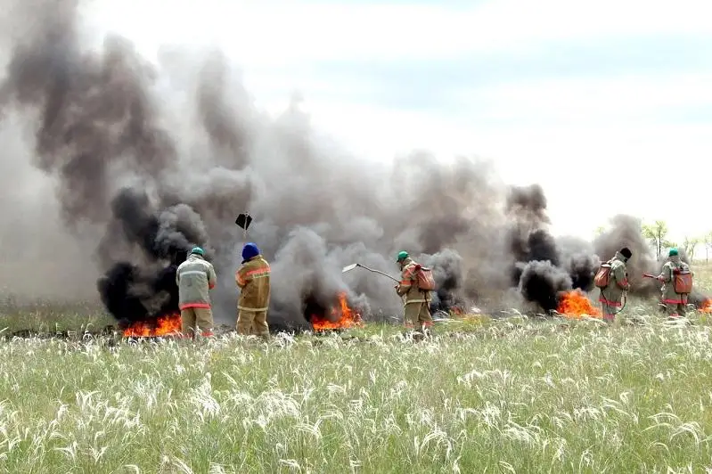 57 лесных и степных пожаров за двое суток произошло в Казахстане