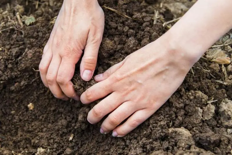 За сбор редкого вида червей задержали четверых актюбинцев