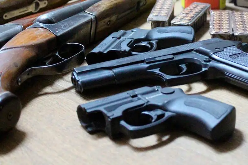 Кражи, незаконное хранение наркотиков и оружия: преступную группу задержали в Алматинской области