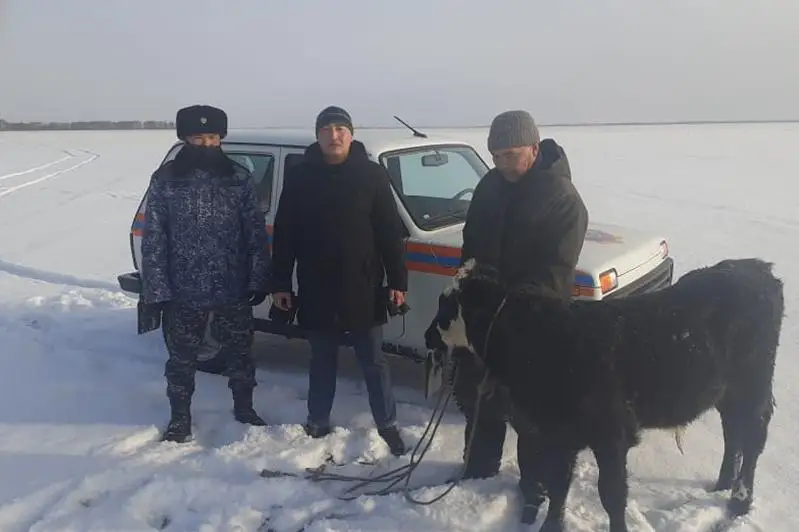 Заблудившегося между селами мужчину спасли в СКО