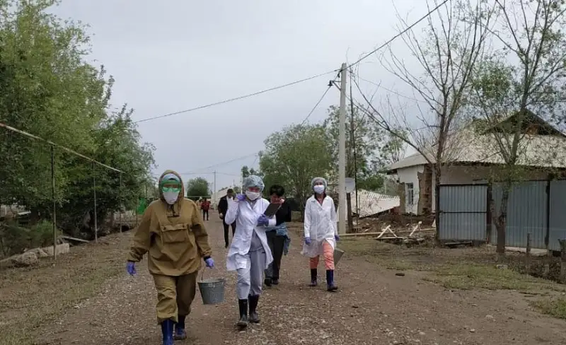 В подтопленных селах Мактааральского района началась дезинфекция