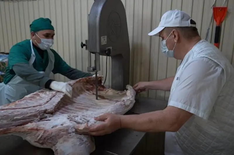 Осужденный в Алматинской области основал свой бизнес на территории колонии