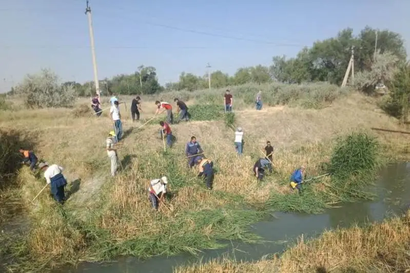 Свыше 4,5 тысячи человек участвовали в очистке водных каналов в Таразе
