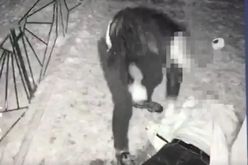 Жамбылские полицейские раскрыли дерзкий грабеж