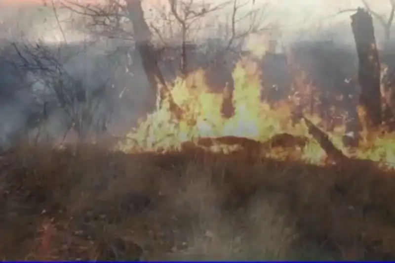 Прорвались сквозь огненное кольцо и спасли сельчан павлодарские полицейские