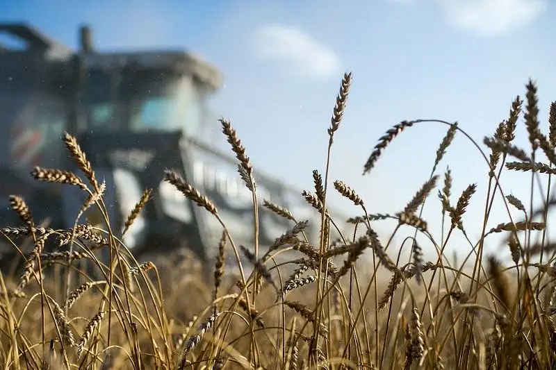 Уборочную кампанию приостановили в Костанайской области