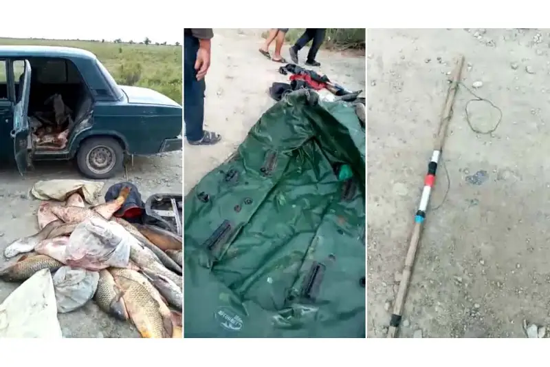 Электроудочки и 100 кг рыбы обнаружены в автомашине жителей Туркестанской области