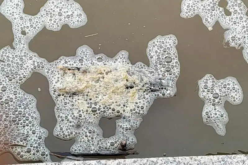 Грязная пена в реке Есентай: проводится экспертиза