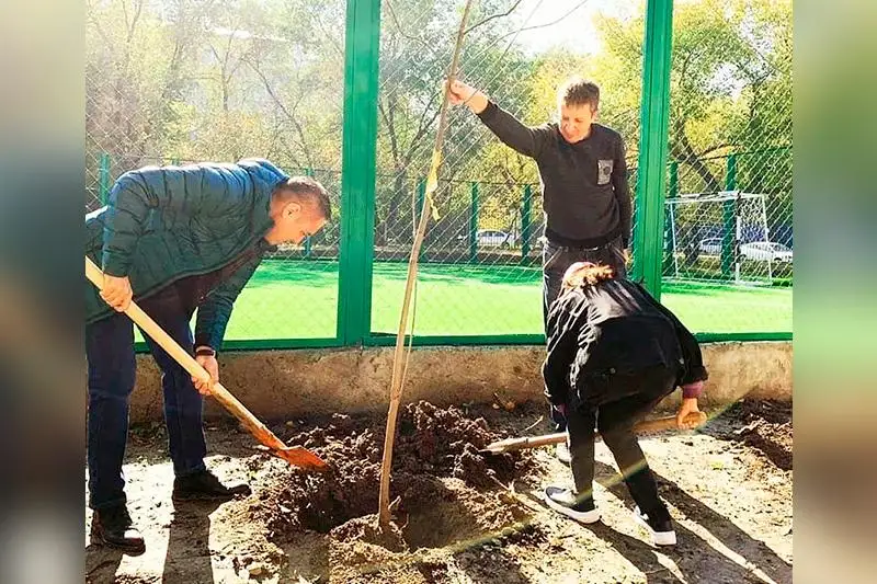 Свыше 300 тысяч зеленых насаждений высадят в Алматы в 2020 году