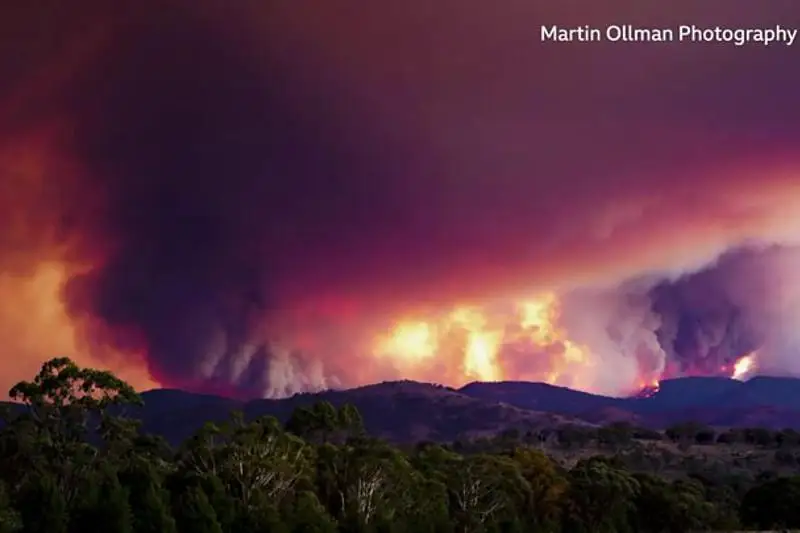 Пожары в Австралии: объявлено чрезвычайное положение в Канберре