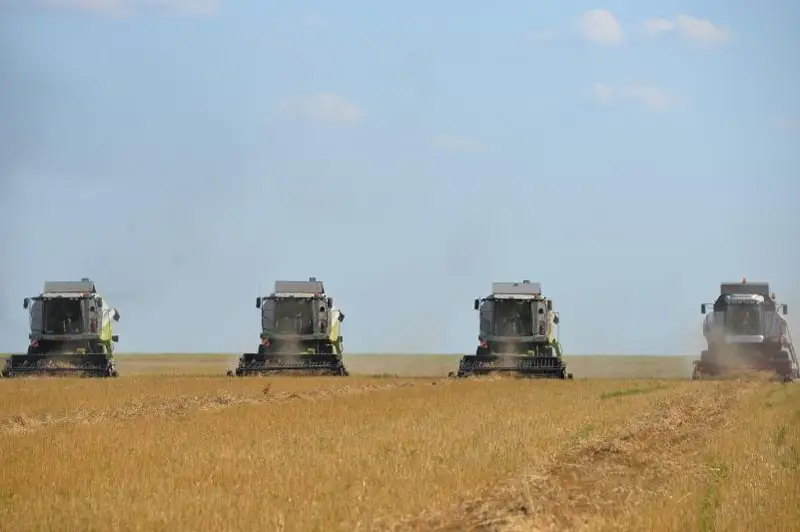 Уборка зерновых культур и картофеля завершена в Павлодарской области