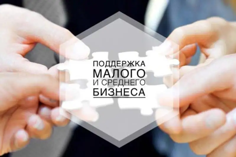 Каким субъектам МСБ предоставят отсрочку платежей до октября
