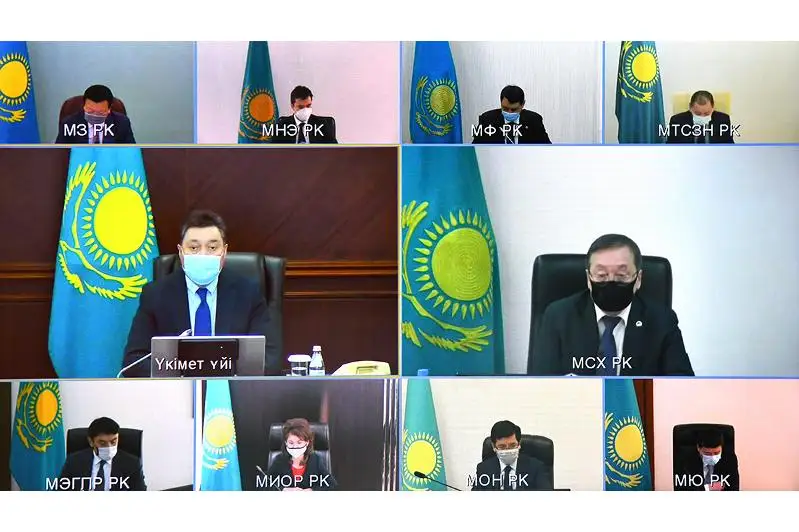 Правительство рассмотрело вопросы ветеринарной и фитосанитарной безопасности