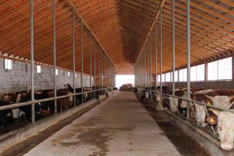 Вдвое увеличилось поголовье скота в Таскалинском районе ЗКО