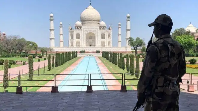 Коронавирус в мире: общее количество заболевших составило 11,3 млн