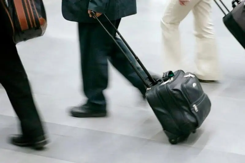 Количество командировок хотят сократить в сфере образования