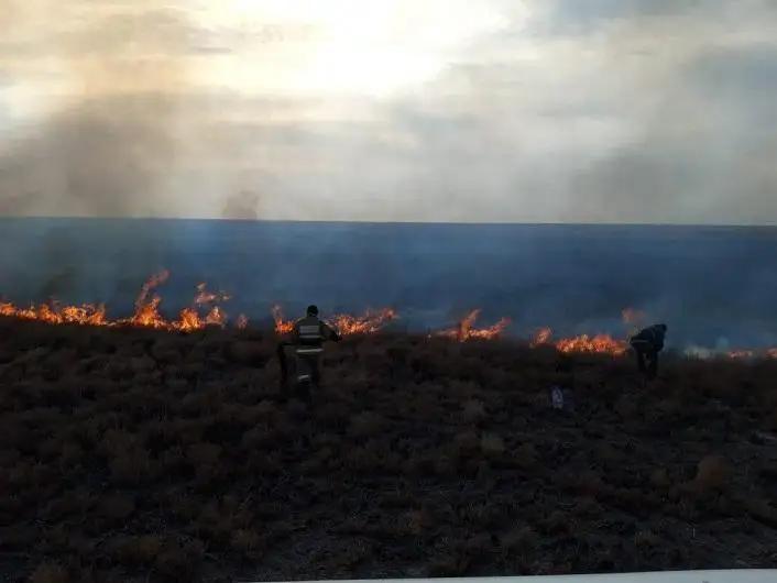 На побережье Каспия ликвидировали пожар