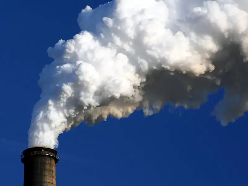 Количество экологических правонарушений сократилось вдвое