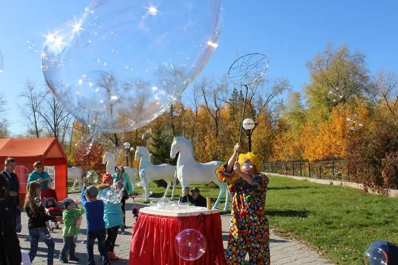 Фестиваль SKOрлупино провели в СКО