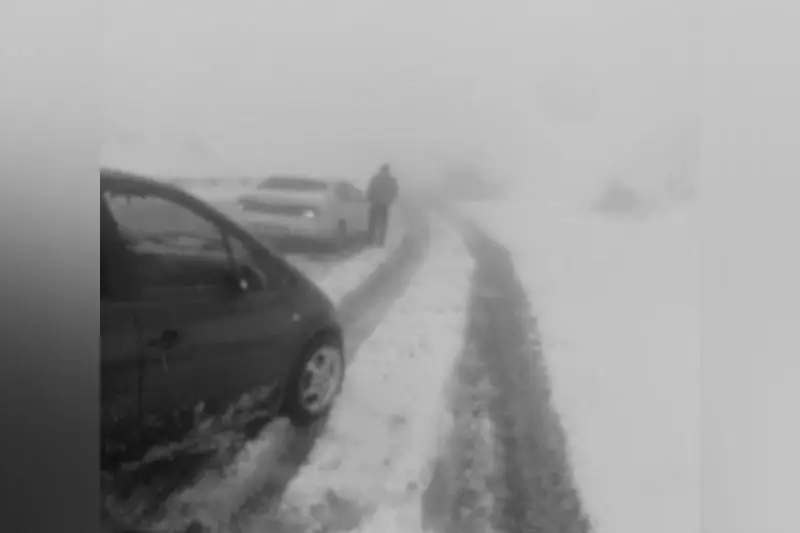 Четырёх человек эвакуировали из снежного заноса в Алматинской области