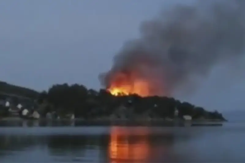 Предварительную причину крупного пожара на берегу Бухтармы назвали в ВКО