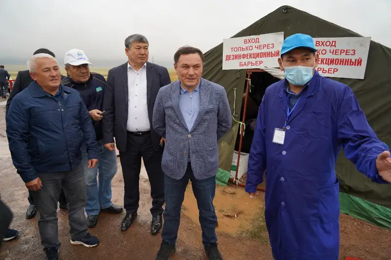 Сибирская язва в Ольгинке: карантин снимут полностью 30 августа