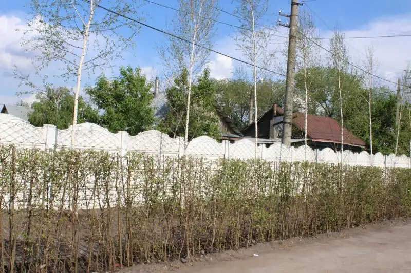 Какой будет историческая улица в Петропавловске – рассказал аким СКО