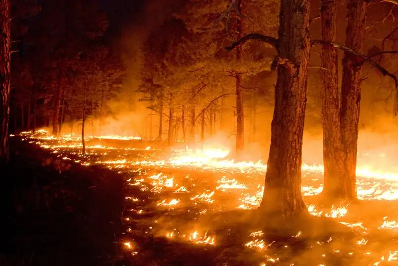 Около 2,7 тыс. туристов эвакуировали во Франции из-за лесного пожара
