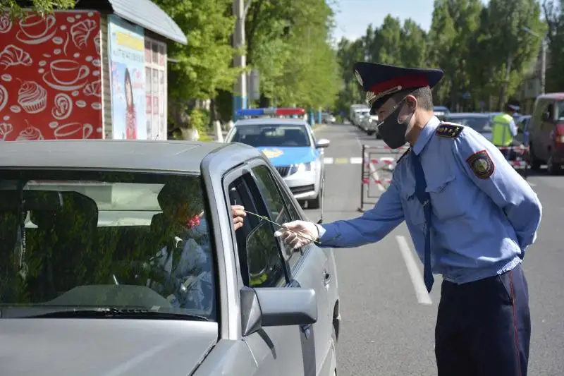 Жамбылские полицейские останавливали водителей, чтобы вручить им цветы