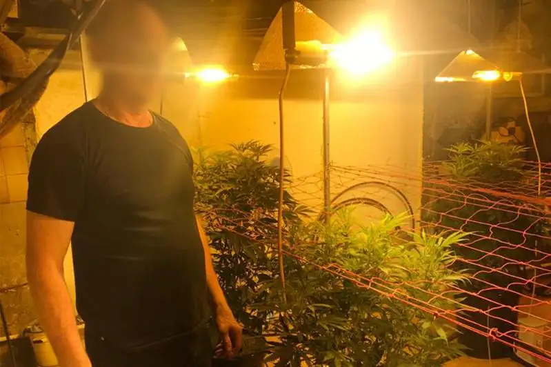 Элитную коноплю выращивал в гараже павлодарец