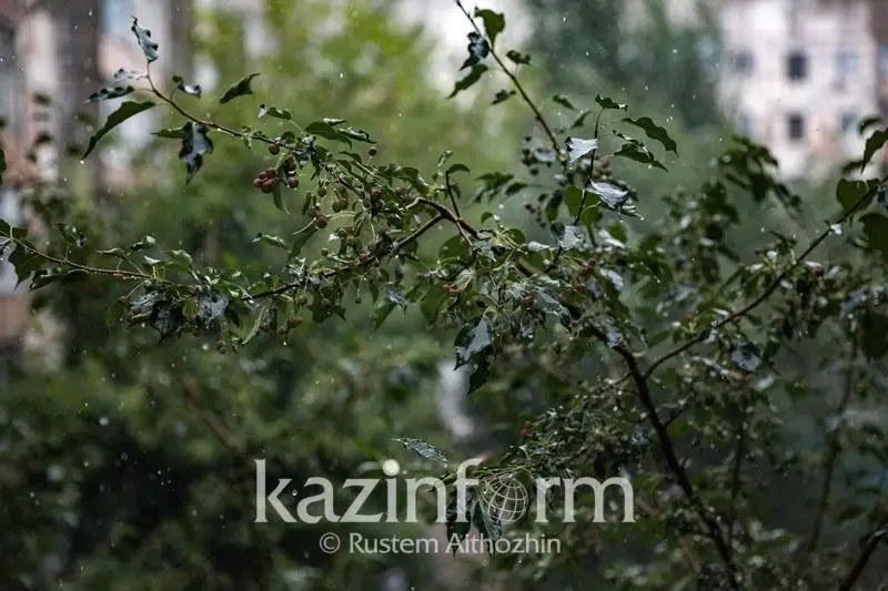 Дожди прогнозируют синоптики на большей части Казахстана