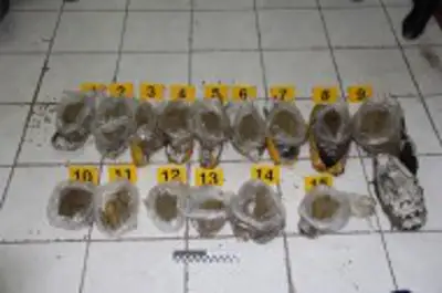 наркокурьеры