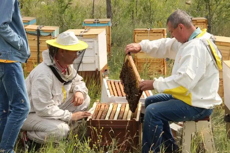 «Золотой улей» соединил науку и практику в Уральске