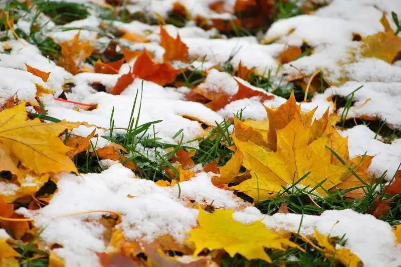 Мокрый снег ожидается в Северном Казахстане