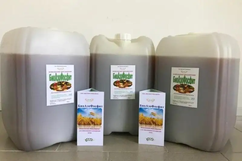 Инновационное предприятие по выпуску биопрепаратов работает в Акмолинской области