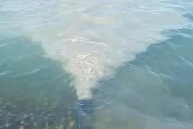 Магзум Мирзагалиев отреагировал на слив сточных вод в озеро Алаколь