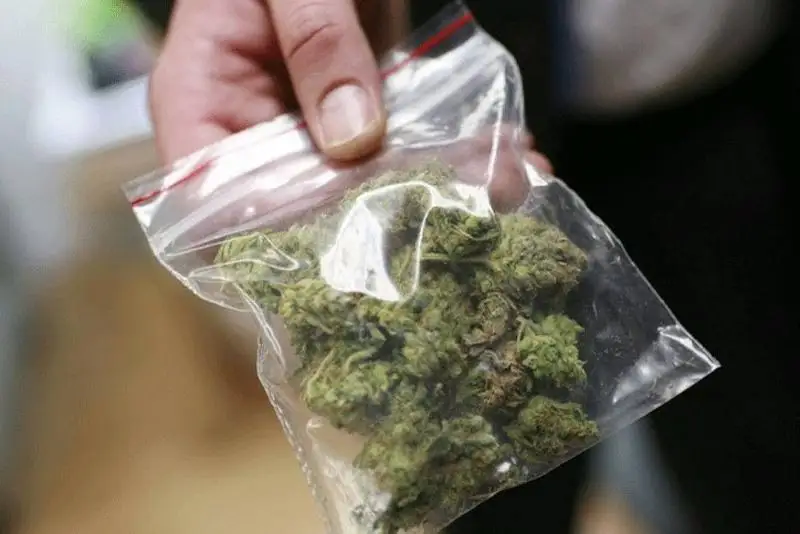 Бывший заключенный пытался перебросить наркотики в тюрьму Тараза