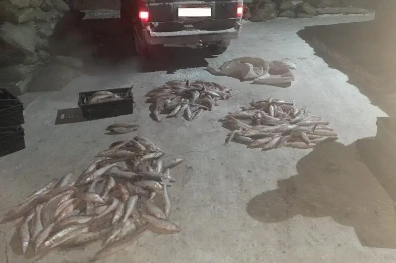 Четыре центнера нелегально выловленной рыбы изъяли карагандинские полицейские