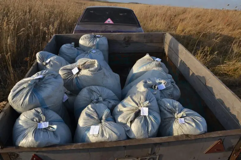 1,3 тонны ценных рачков изъяли у браконьеров в СКО