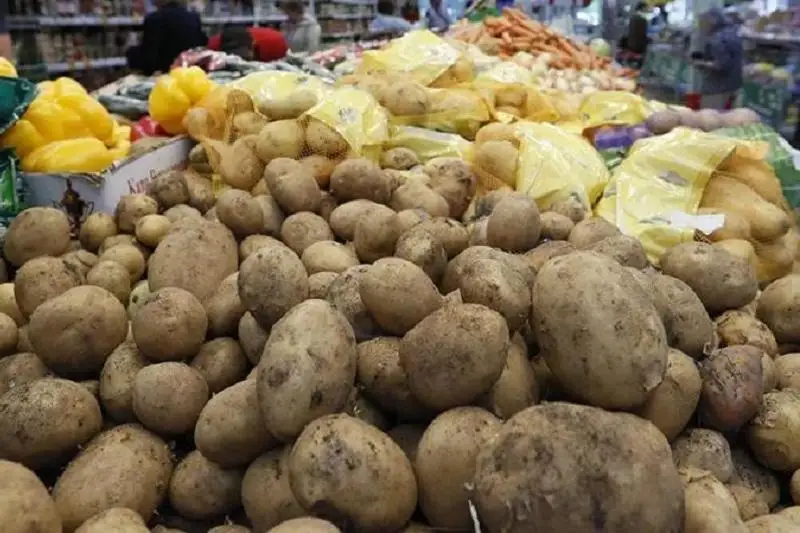 Свыше 200 меморандумов по сдерживанию цен заключены  в Семее