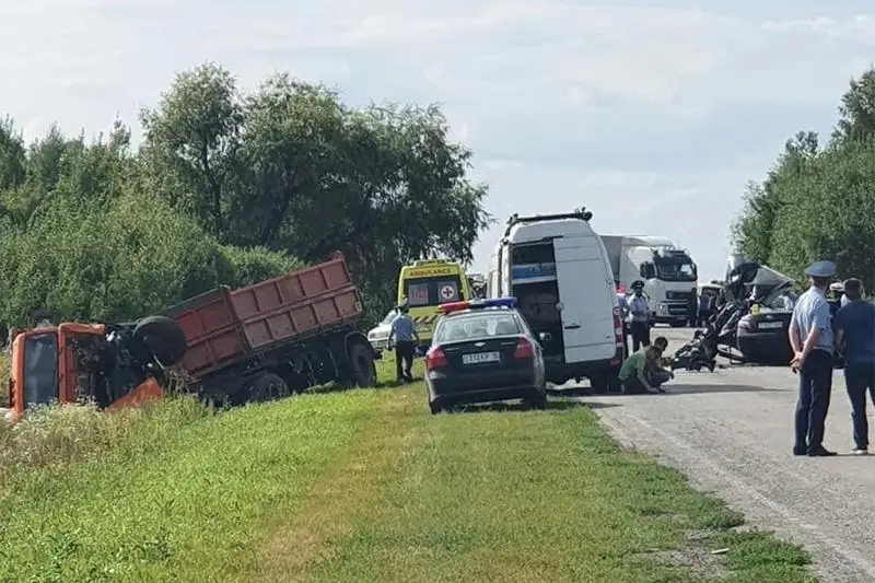 Два человека погибли в аварии на трассе в СКО
