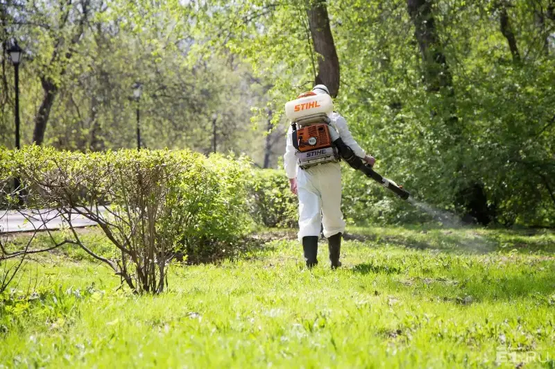 Обработку зеленых насаждений  начали в Алматы