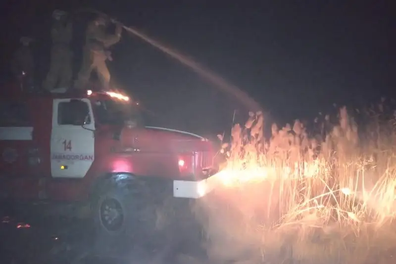 700 голов мелкого рогатого скота погибло при пожаре в Кызылординской области