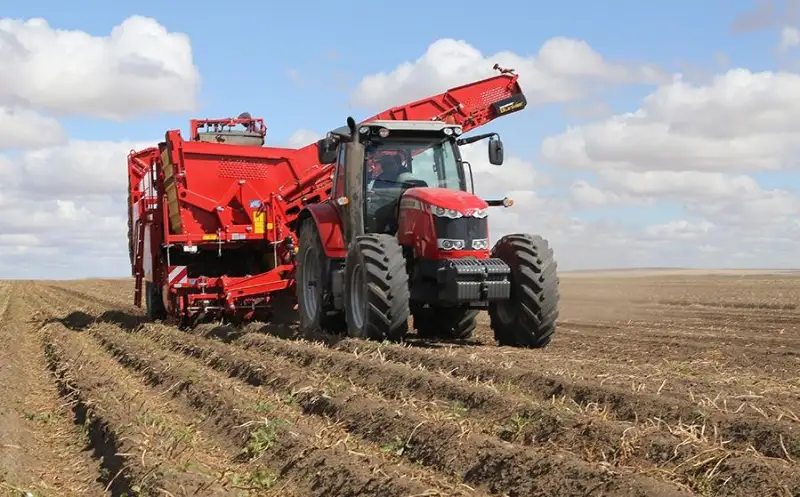 Рынок продовольствия будет расти в Карагандинской области