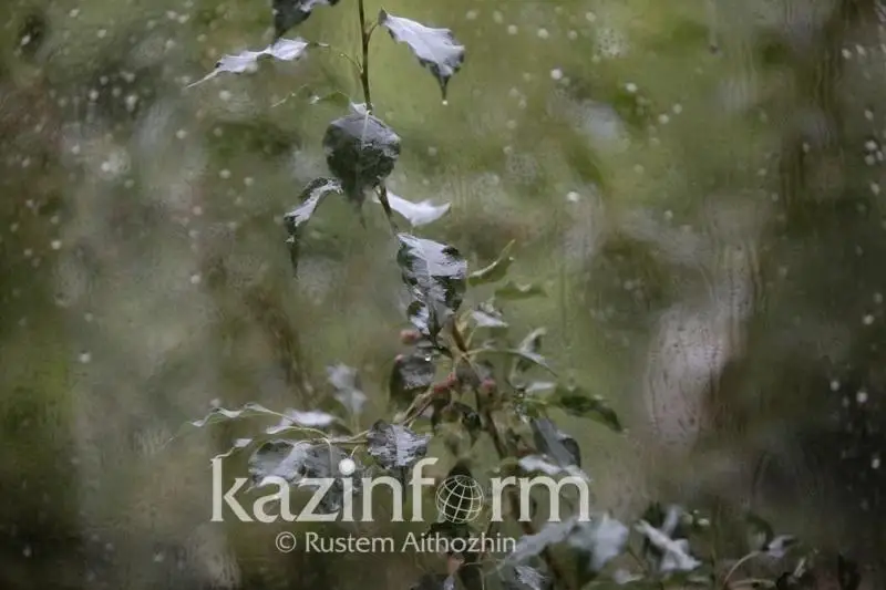 Грозы пройдут в пяти регионах Казахстана