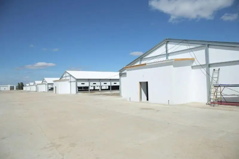 В Казахстане в 2020 году введут в эксплуатацию 8 мясных птицефабрик