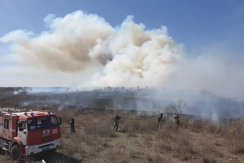 Пожар произошел на территории природного парка в Туркестанской области