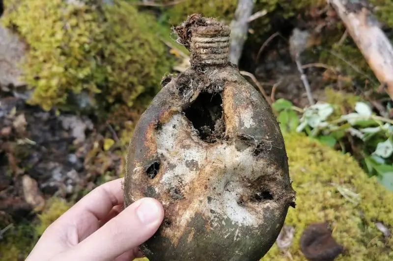 В России нашли останки павшего в 1944 году казахстанского солдата